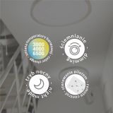 led-pol.com_plafon_ Olmo.jpg