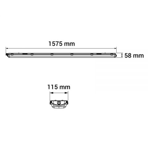 rys_ORO-ATLAS-BASIC-2XT8150.jpg