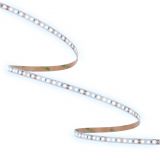 ORO33454 ORO STRIP SMD 12V⁄1000LM⁄CW 5M pac un_1-min.jpg