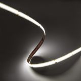 ORO-STRIP-320L-LCOB-2835-NWD-8MM_1.JPG