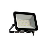 ORO33529 ORO FOCUS LED 30W NW pacn un 1.jpg