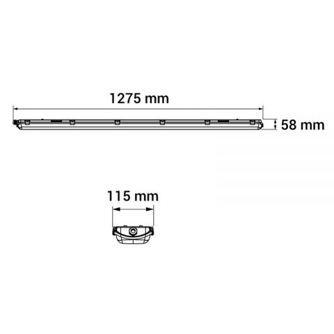 rys_ORO-ATLAS-BASIC-2XT8120.jpg