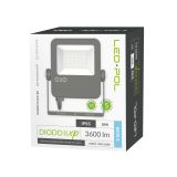 ORO-HALOGEN-30W-DIODO-XP-CW-II 3.png