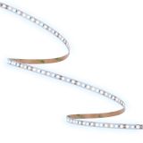 ORO33556 ORO STRIP SMD 24V⁄1000LM⁄CW 50M pac un 1.jpg