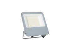 ORO DIODO PRO 100W NW_1.png