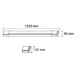rys_ORO-SILVER-2XT8120.jpg